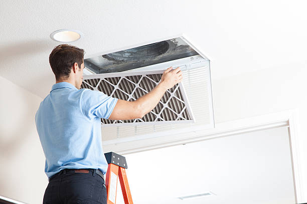 Best Air Filters and Purifiers in Campbell, OH